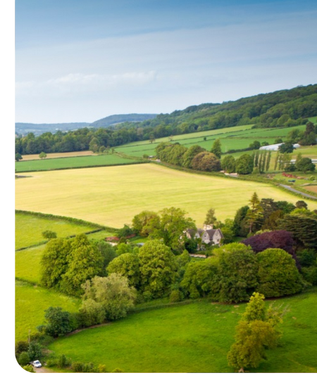 Fields in countryside
