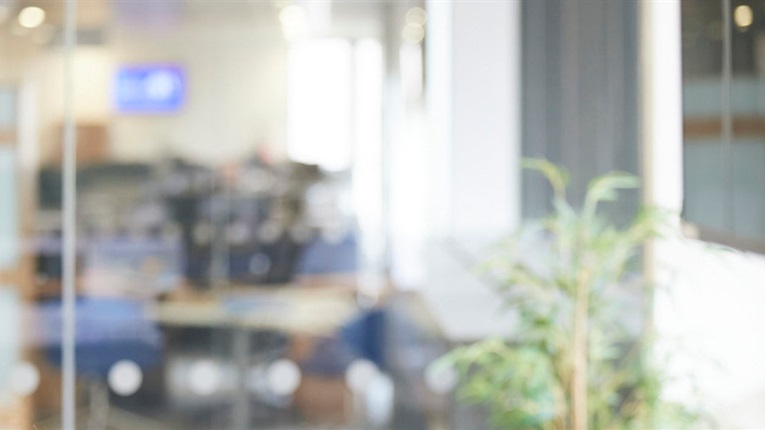 Blurred photo of the PPF office, plant in foreground with desks behind glass door