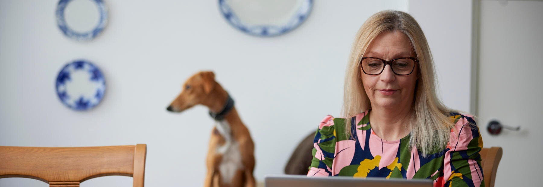 PPF member using a laptop