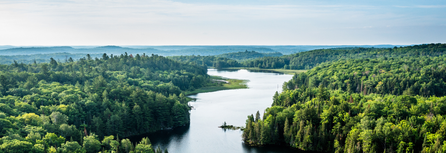 Landscape with a lake and trees