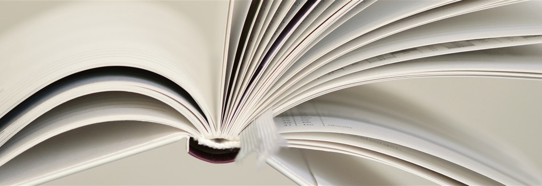 close up of open book 256467 1